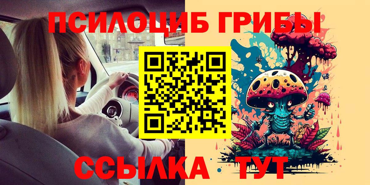 Псилоцибиновые грибы мицелий  Вход с VPN  Кубинка 